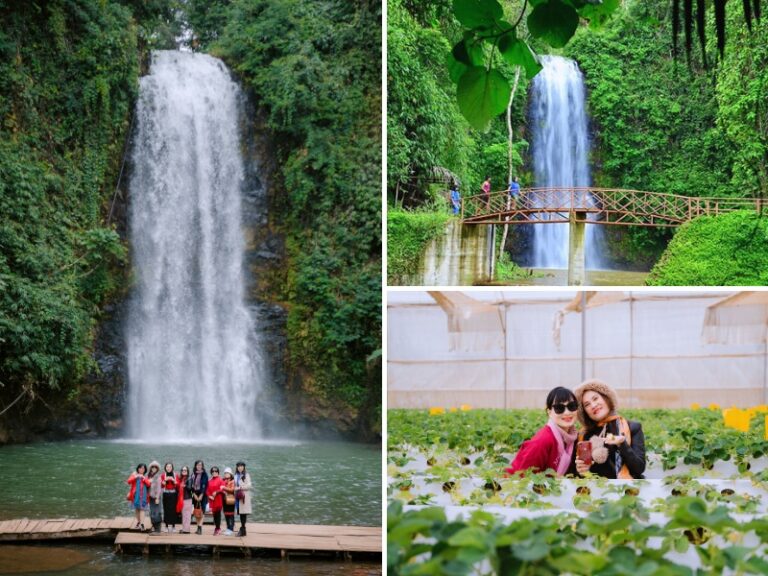 Tour Đà Nẵng đi Măng Đen 3 ngày 2 đêm [Trọn Gói]