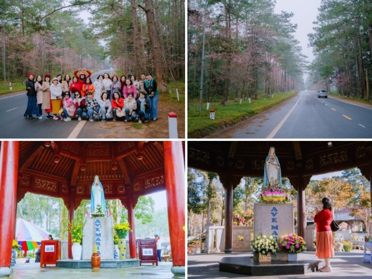 Tour Phú Yên – Măng Đen 2 ngày 1 đêm