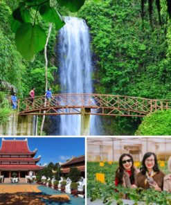 Tour Quy Nhơn – Măng Đen 2 ngày 1 đêm [Giá rẻ]