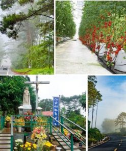 Tour Quảng Ngãi Tây Nguyên 4 Ngày 3 Đêm