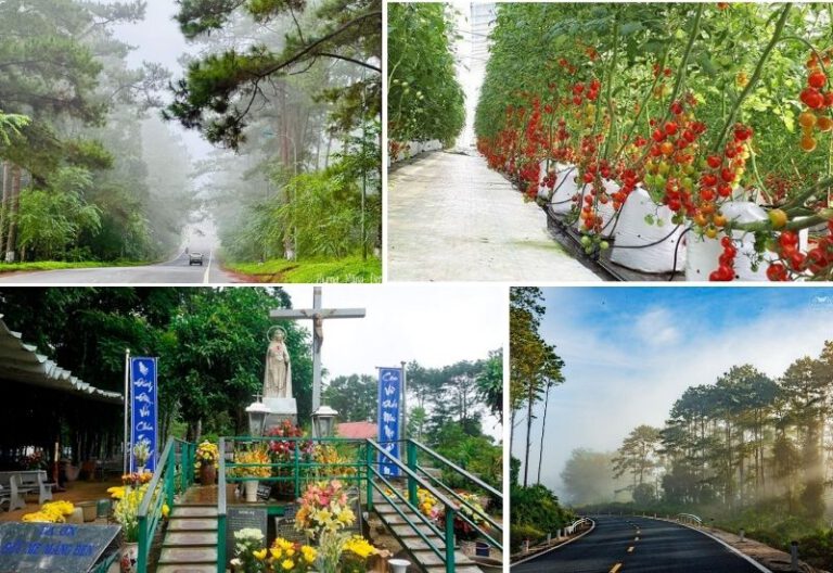 Tour Quảng Ngãi Tây Nguyên 4 Ngày 3 Đêm