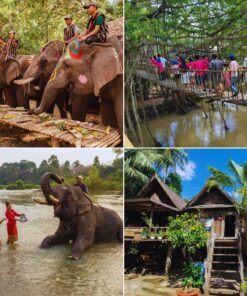 Tour Long An đi Tây Nguyên 4 ngày 3 đêm [trọn gói]