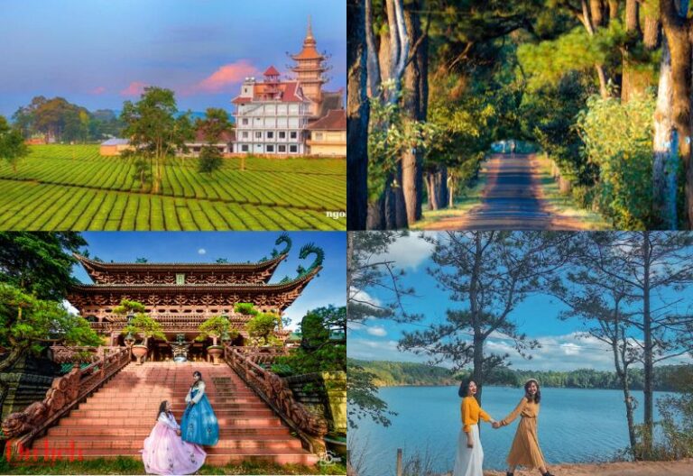 Tour du lịch Quảng Trị Tây Nguyên 4 ngày 3 đêm[trọn gói]