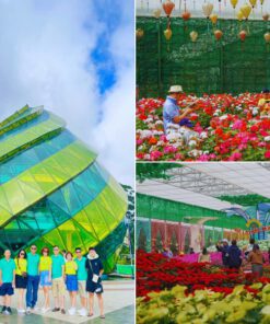Tour Quảng Bình – Đà Lạt 4 ngày 3 đêm