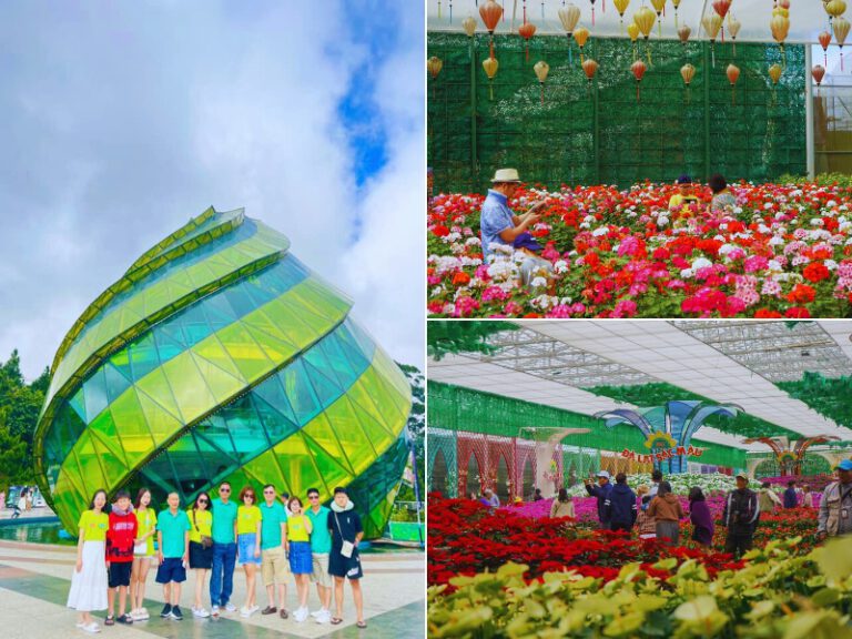 Tour Quảng Bình – Đà Lạt 4 ngày 3 đêm