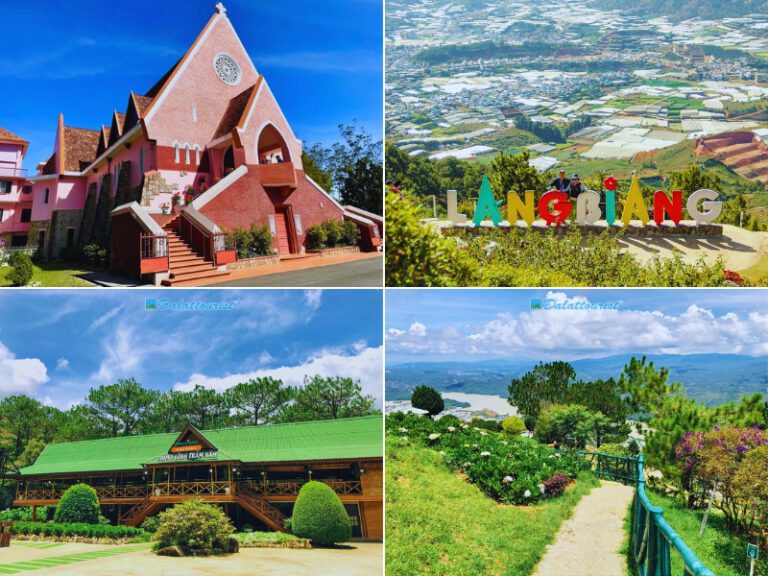 Tour Thanh Hóa – Đà Lạt 3 ngày 2 đêm