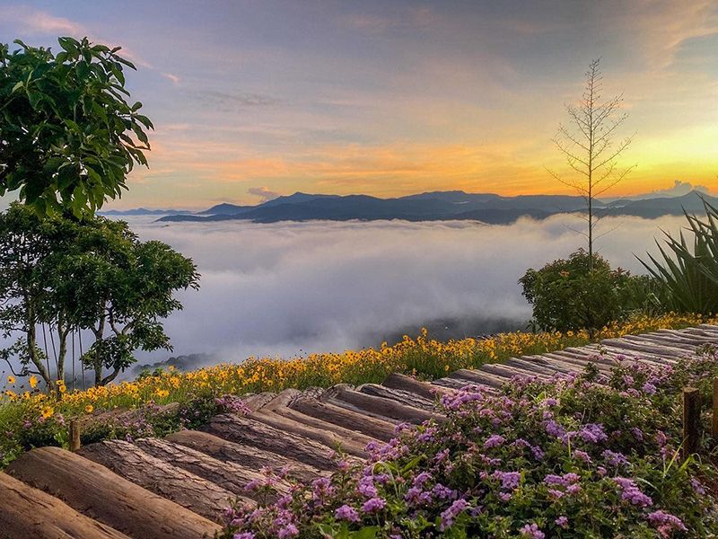 Săn mây Đà Lạt bình minh