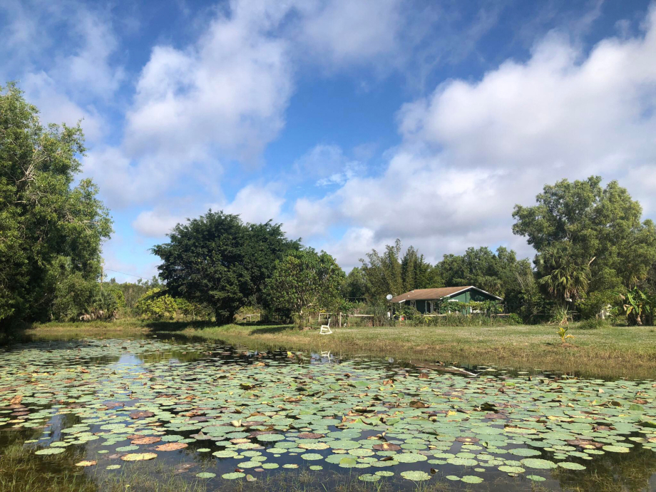 Hồ Trạm Hành Đà Lạt thiên nhiên hoang sơ sống ảo Hồ Trạm Hành Đà Lạt thiên nhiên hoang sơ sống ảo
