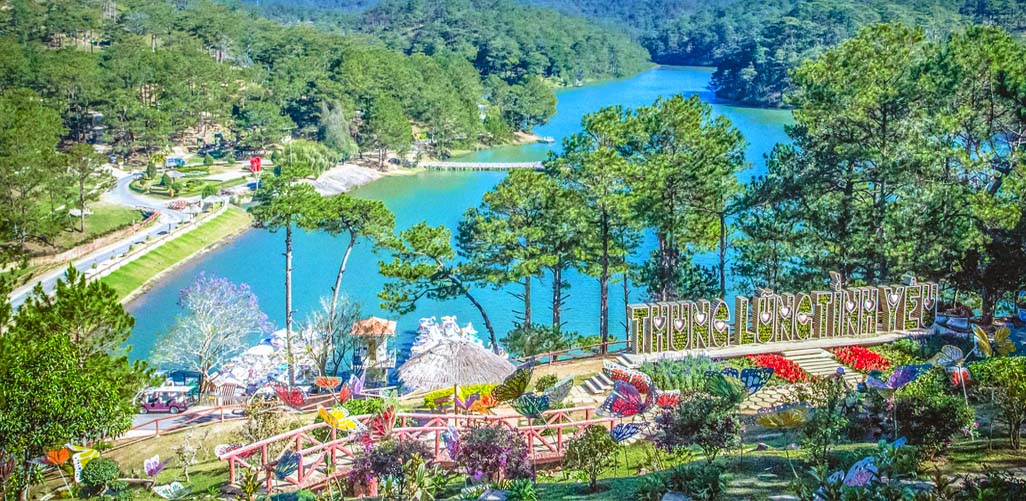 Rừng thông bạt ngàn Thung Lũng Vàng Đà Lạt