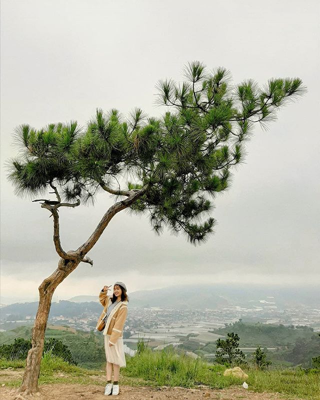 Camping Đồi Thiên Phúc Đức