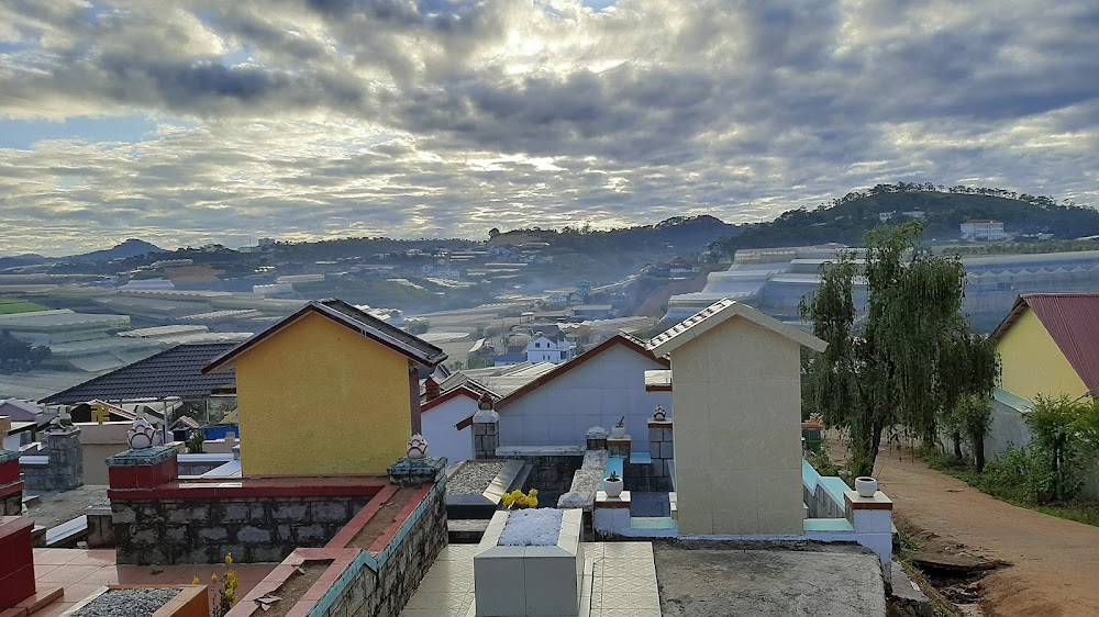 Bình minh Đồi Đa Phú Đà Lạt