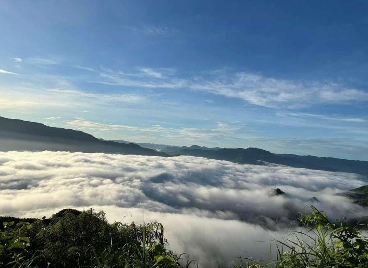 Homestay Măng Đen view mây