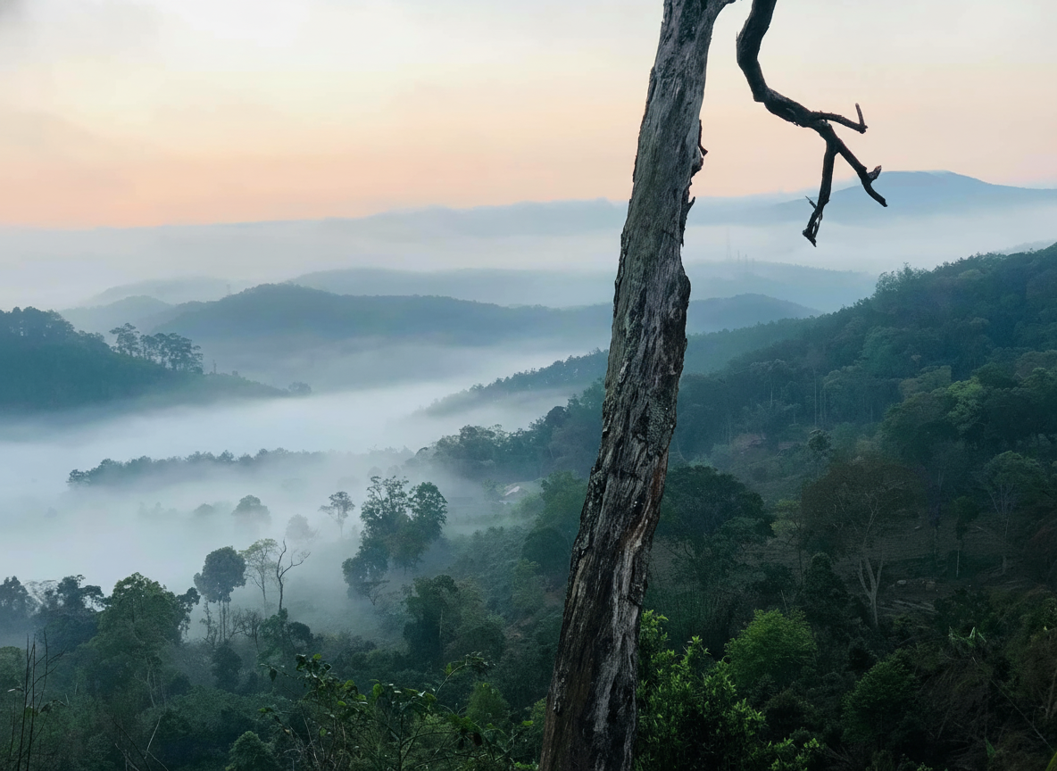 Sân gỗ săn mây Măng Đen