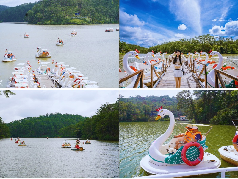 Thung Lũng Vàng Đà Lạt toàn cảnh