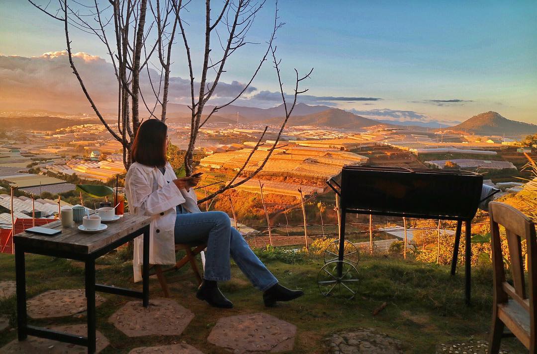 Cafe nhà kính rừng thông Đà Lạt