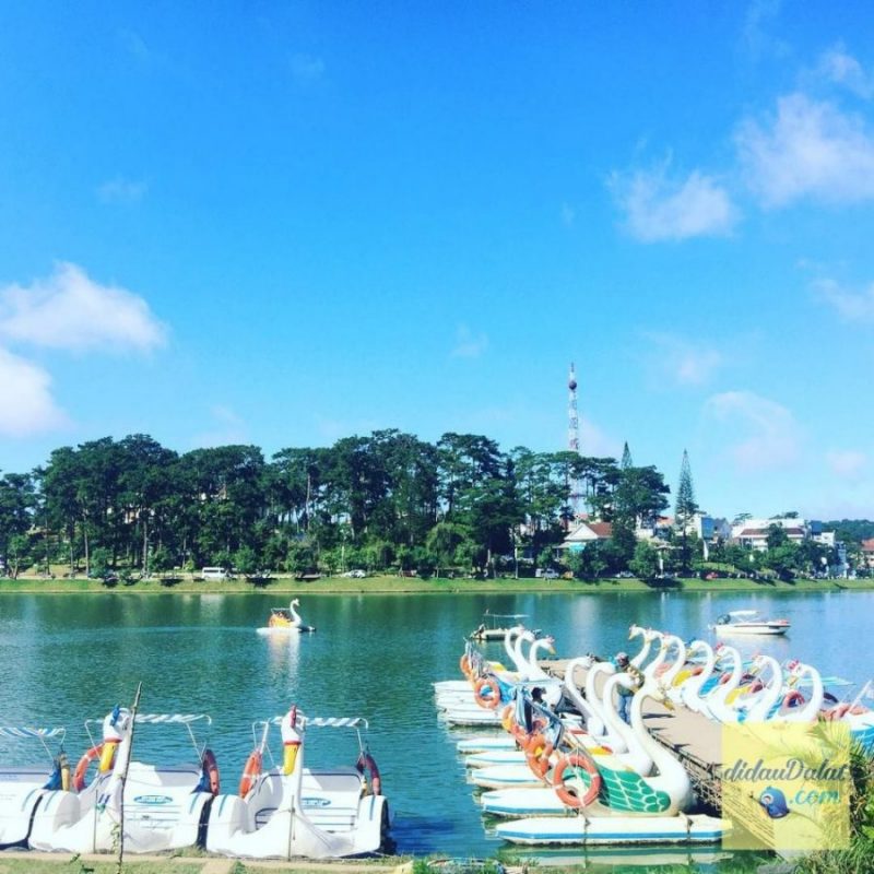 Đạp vịt Hồ Xuân Hương