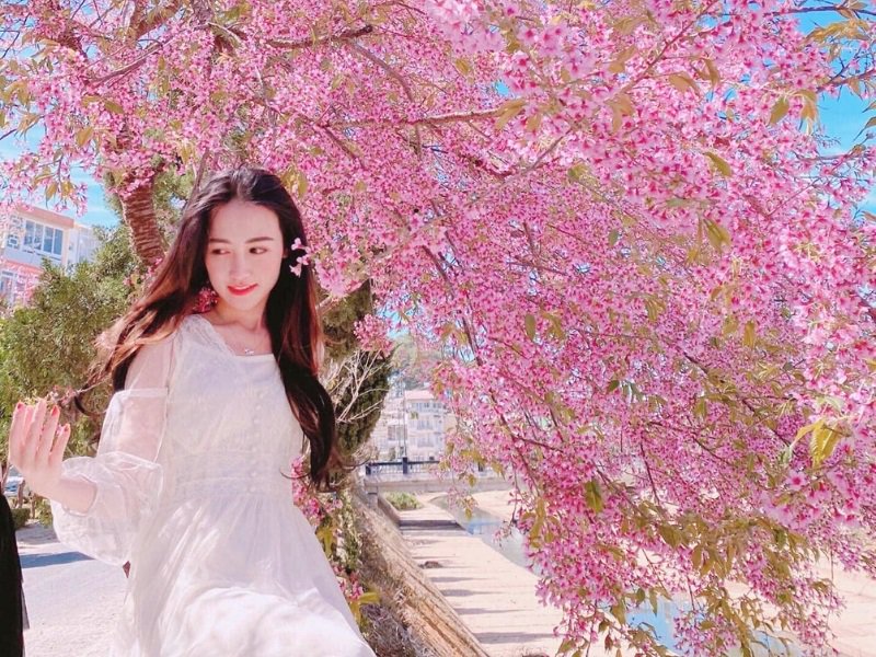 Địa điểm sống ảo Đà Lạt 2025 Địa điểm sống ảo Đà Lạt 2025