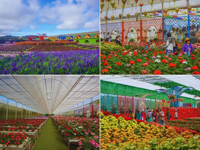 Vườn hoa Vạn Thành