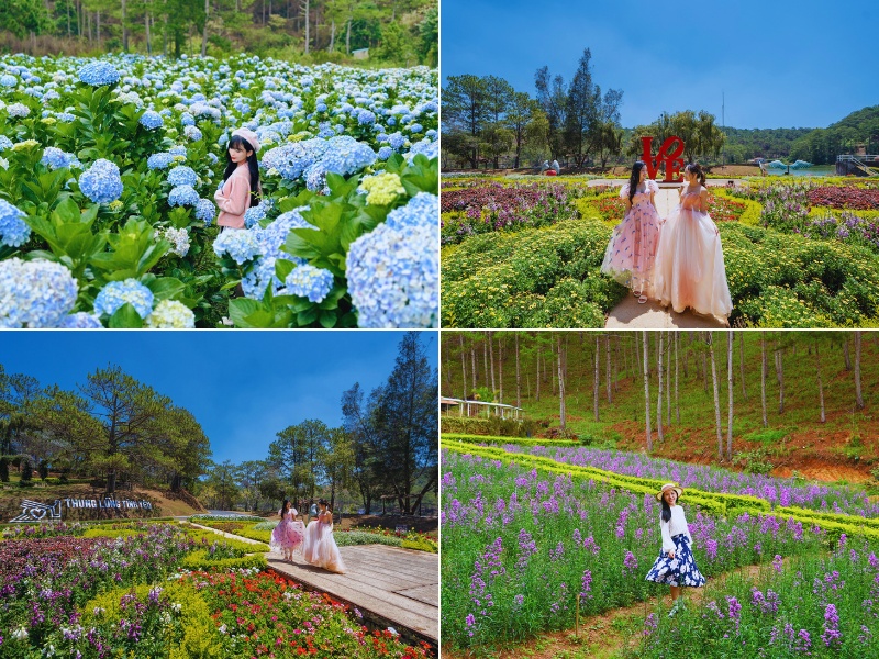 Thung Lũng Vàng Đà Lạt bình yên