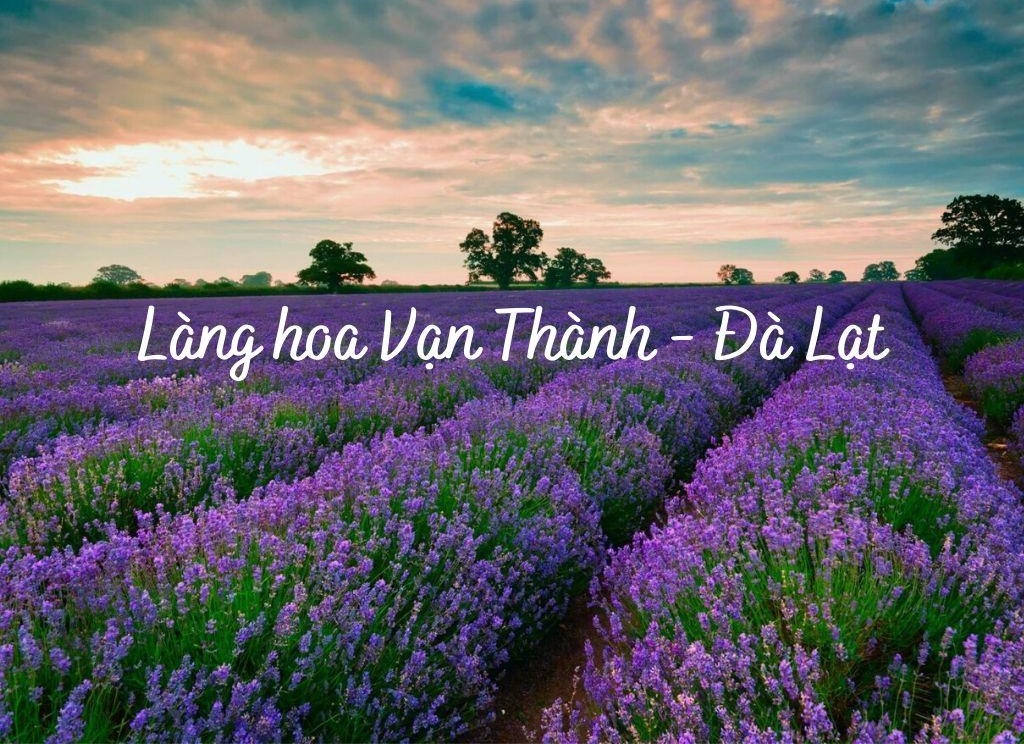 Làng hoa Vạn Thành Đà Lạt