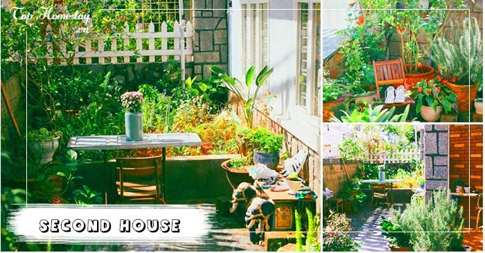 Sân vườn homestay Đà Lạt