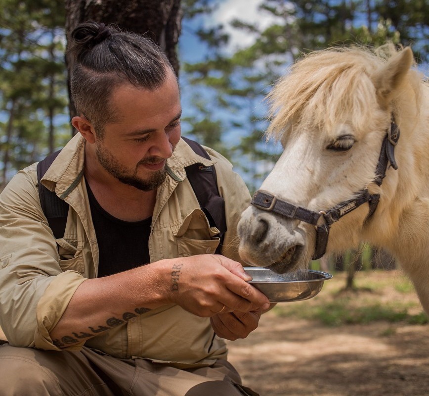 Ngựa lùn Pony ZooDoo Đà Lạt