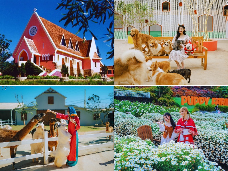 Puppy Farm Đà Lạt du khách vui chơi