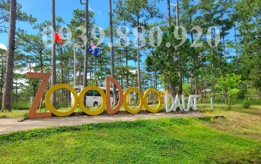 Zoodoo Đà Lạt gia đình có trẻ nhỏ