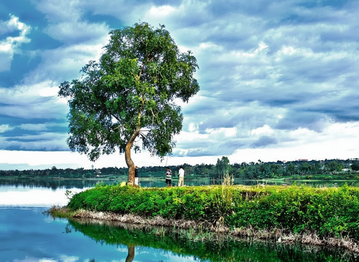 Biển Hồ Chè Gia Lai